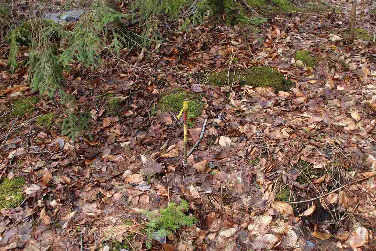 3005 Hazen Notch Road Lowell, VT 05847 - Photo 19 of 24