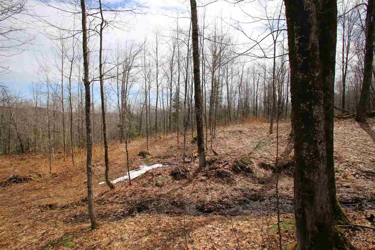 3005 Hazen Notch Road Lowell, VT 05847 - Photo 22 of 24