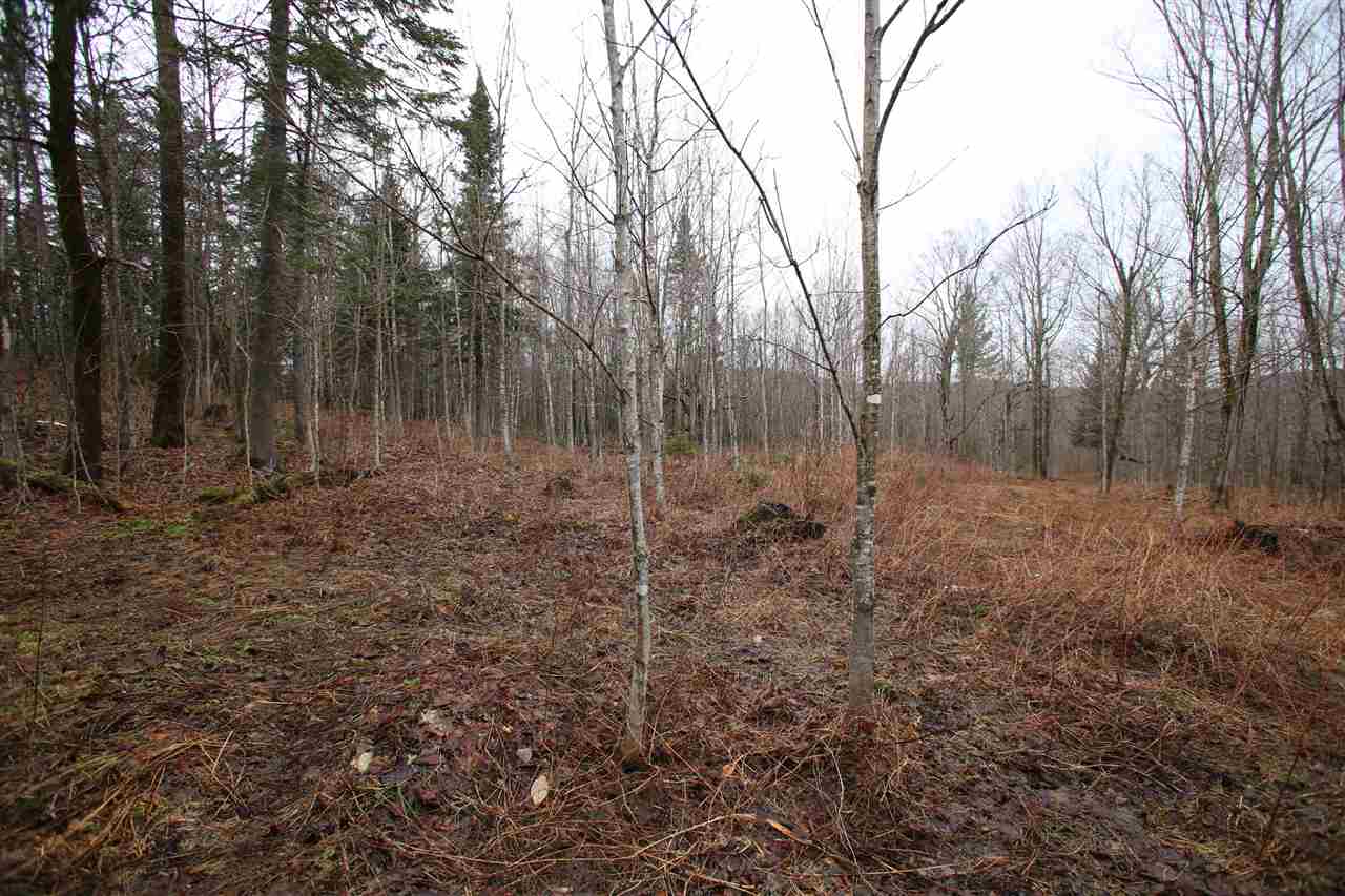 3005 Hazen Notch Road Lowell, VT 05847 - Photo 7 of 24