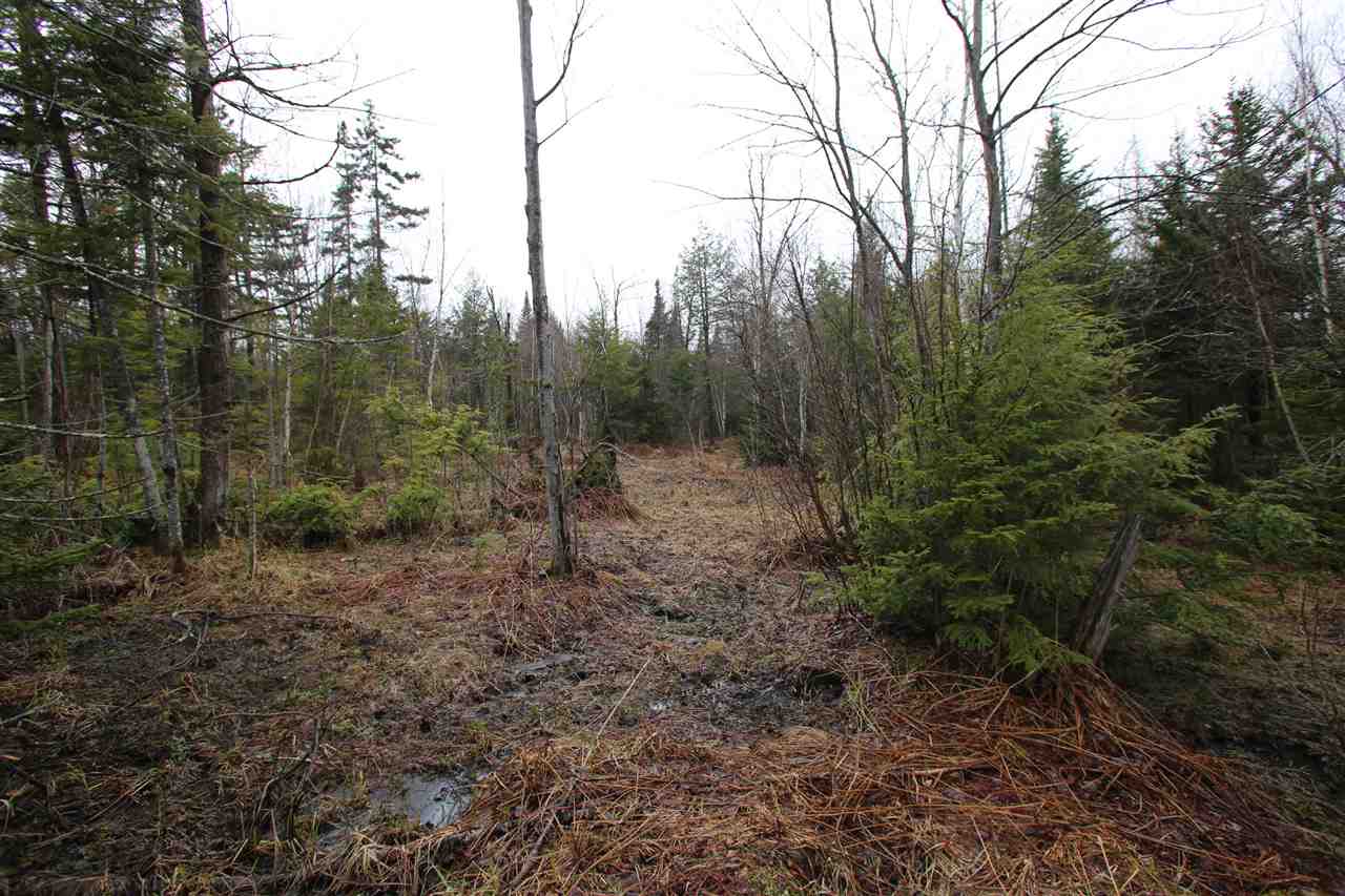 3005 Hazen Notch Road Lowell, VT 05847 - Photo 9 of 24