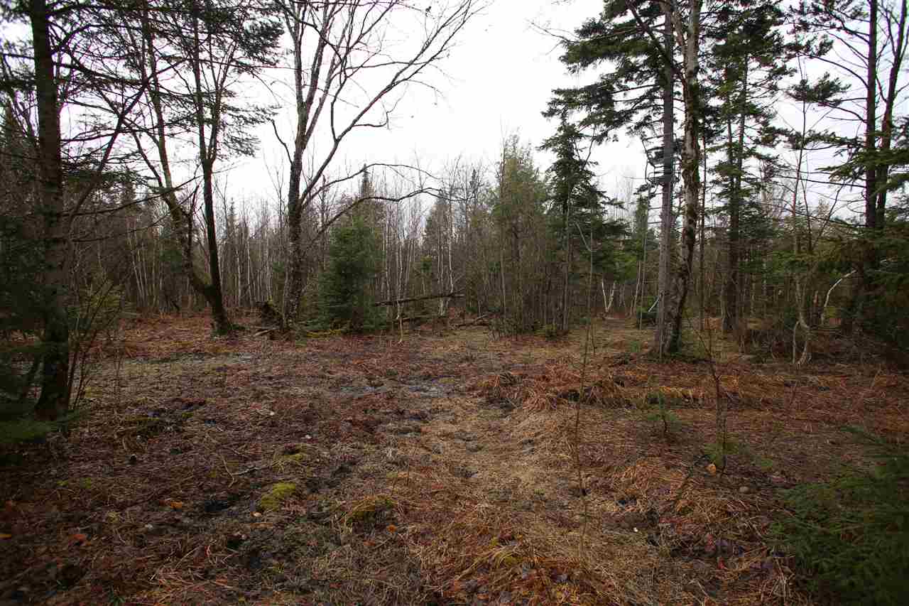3005 Hazen Notch Road Lowell, VT 05847 - Photo 10 of 24