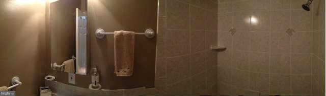 1215 Carrollsburg Place Southwest Washington, DC 20024 - Photo 11 of 15 Bath (Master)
