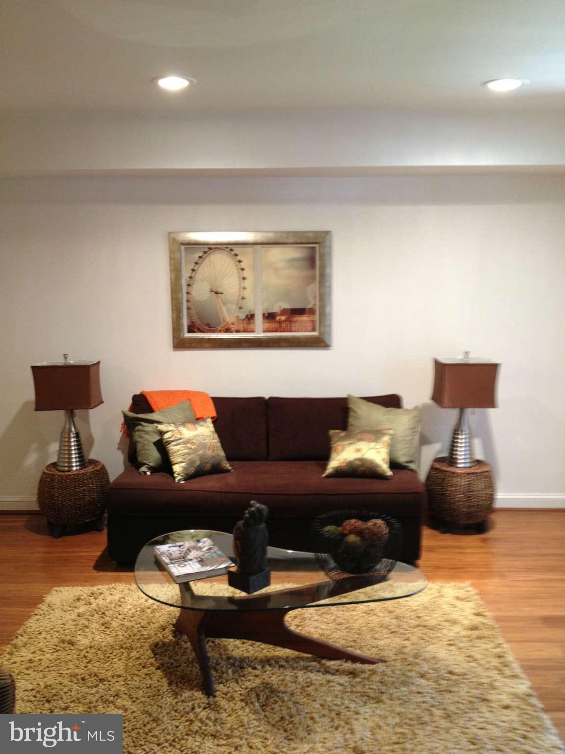 1215 Carrollsburg Place Southwest Washington, DC 20024 - Photo 8 of 15 Living Room
