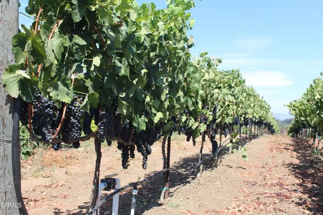 $4,750,000 | 6150 Baja Vista Drive, Somis, CA 93066