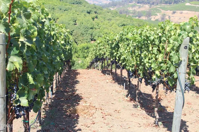 $4,750,000 | 6150 Baja Vista Drive, Somis, CA 93066