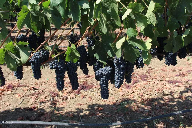 $4,750,000 | 6150 Baja Vista Drive, Somis, CA 93066