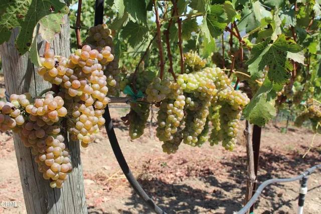 $4,750,000 | 6150 Baja Vista Drive, Somis, CA 93066