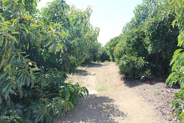 $4,750,000 | 6150 Baja Vista Drive, Somis, CA 93066