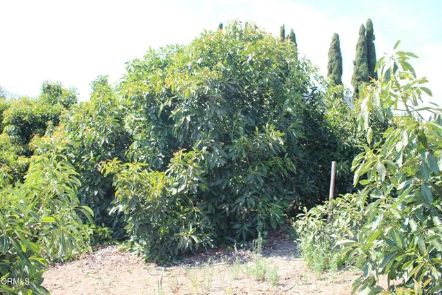 $4,750,000 | 6150 Baja Vista Drive, Somis, CA 93066