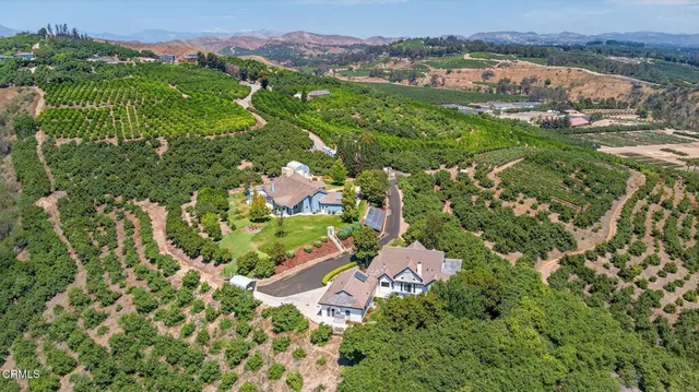 a view of a garden with plants and a building in background