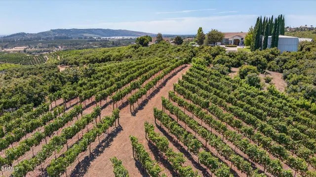 a front view of a house with a yard and porch