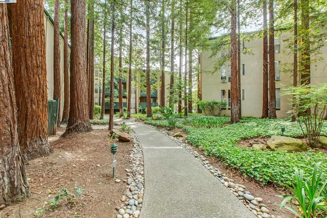 a garden with trees in front of it