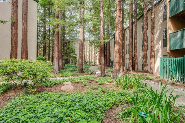 a city street lined with buildings and trees