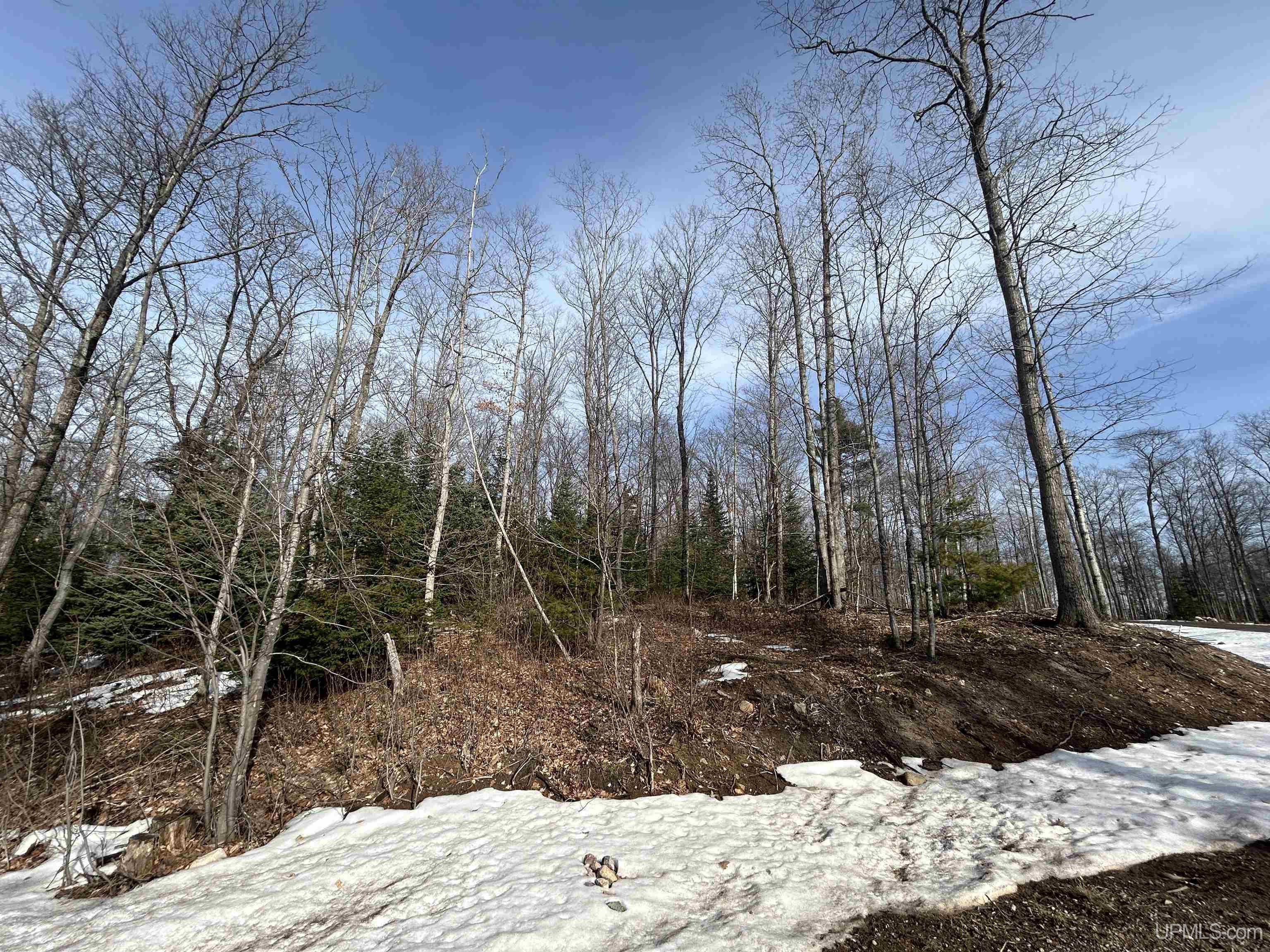 1 B Bridgeview Lane Negaunee, MI 49866 - Photo 17 of 18