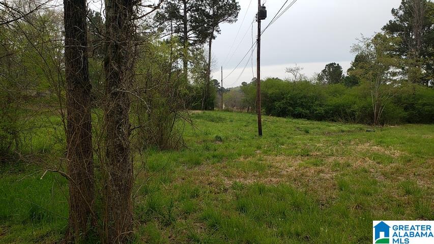 7080 Groundhog Road Morris, AL 35116 - Photo 2 of 7