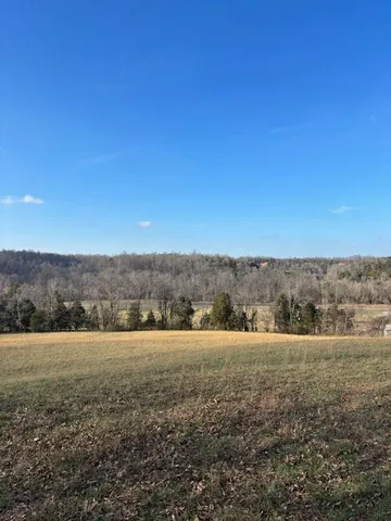 a view of a field with trees in the background