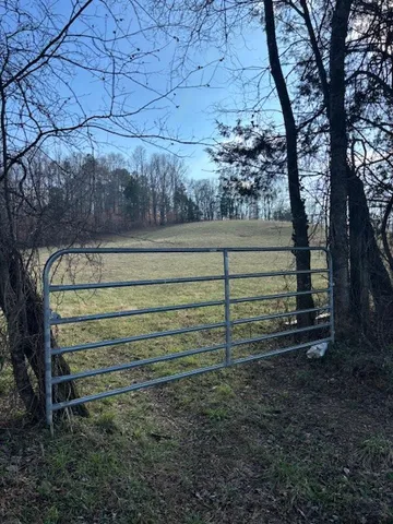 a view of backyard with wooden fence and a large tree