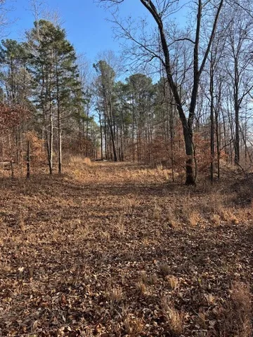 a view of a yard with trees