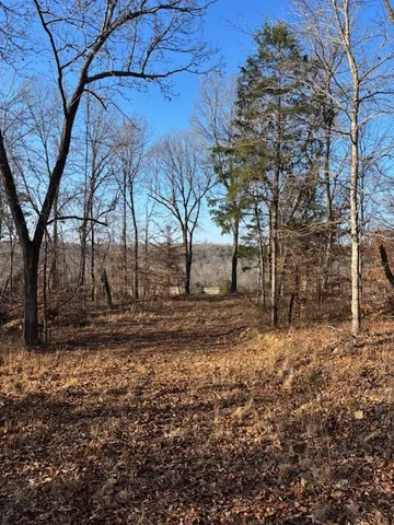 a view of a backyard with large trees
