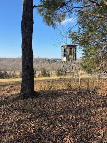 a view of a back yard