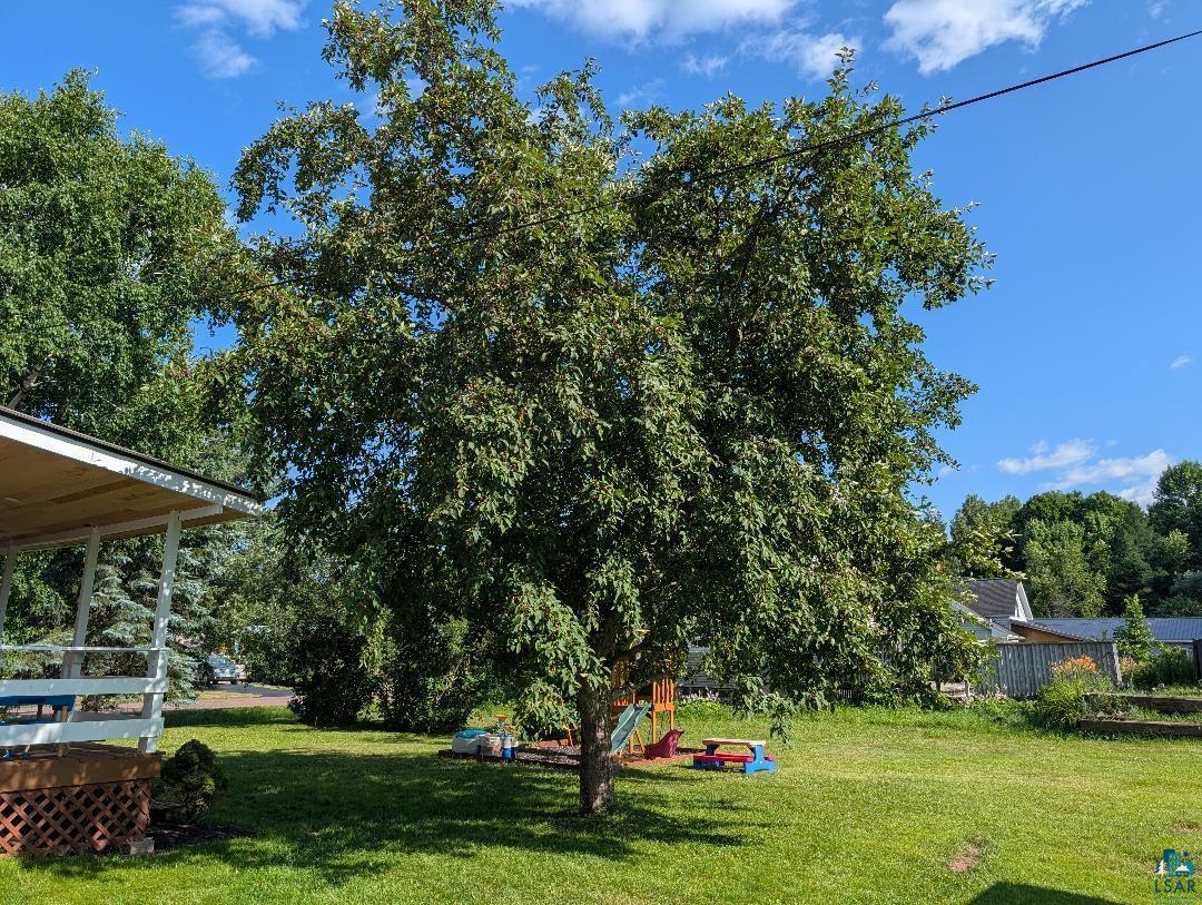 701 Drake Street Mellen, WI 54546 - Photo 9 of 27 Spacious backyard featuring a substantial mature tree, expansive green lawn, covered porch with white railings, and additional landscaping