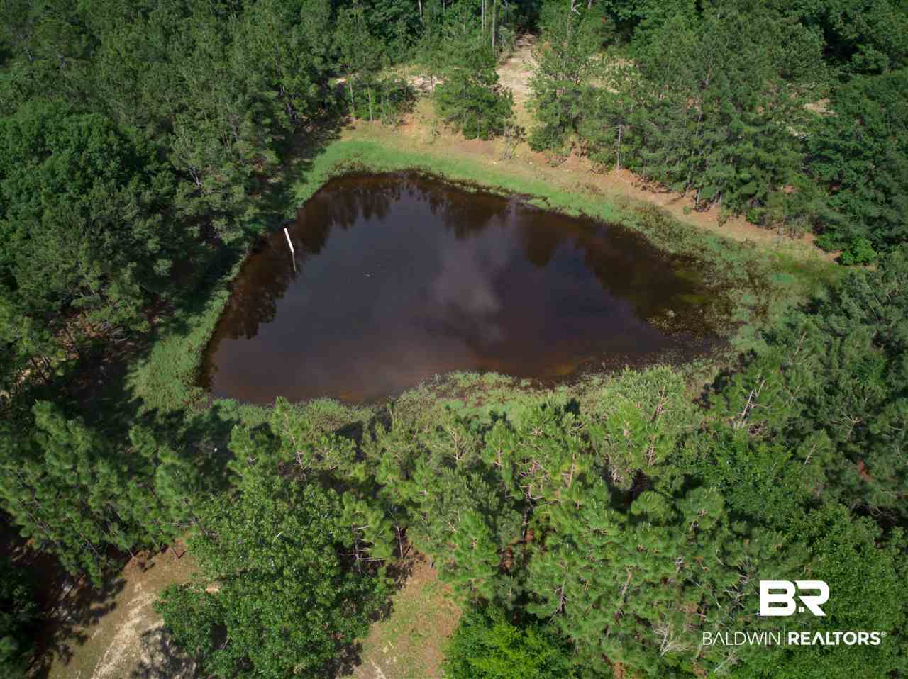 9140 McDonald Road Citronelle, AL 36522 - Photo 4 of 40