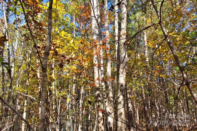 $32,000 | 0 Creekside Circle, Unit 113, Rutherfordton, NC 28139