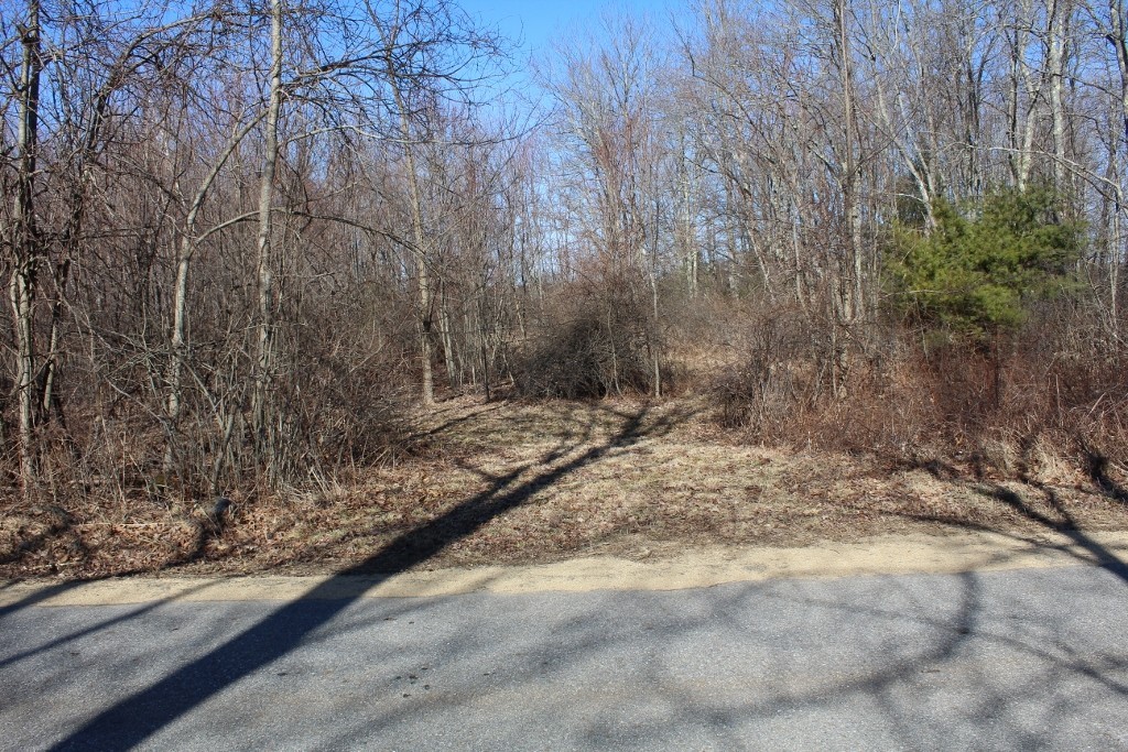 12 North Road Hardwick, MA 01037 - Photo 2 of 8 Gallery Image 2