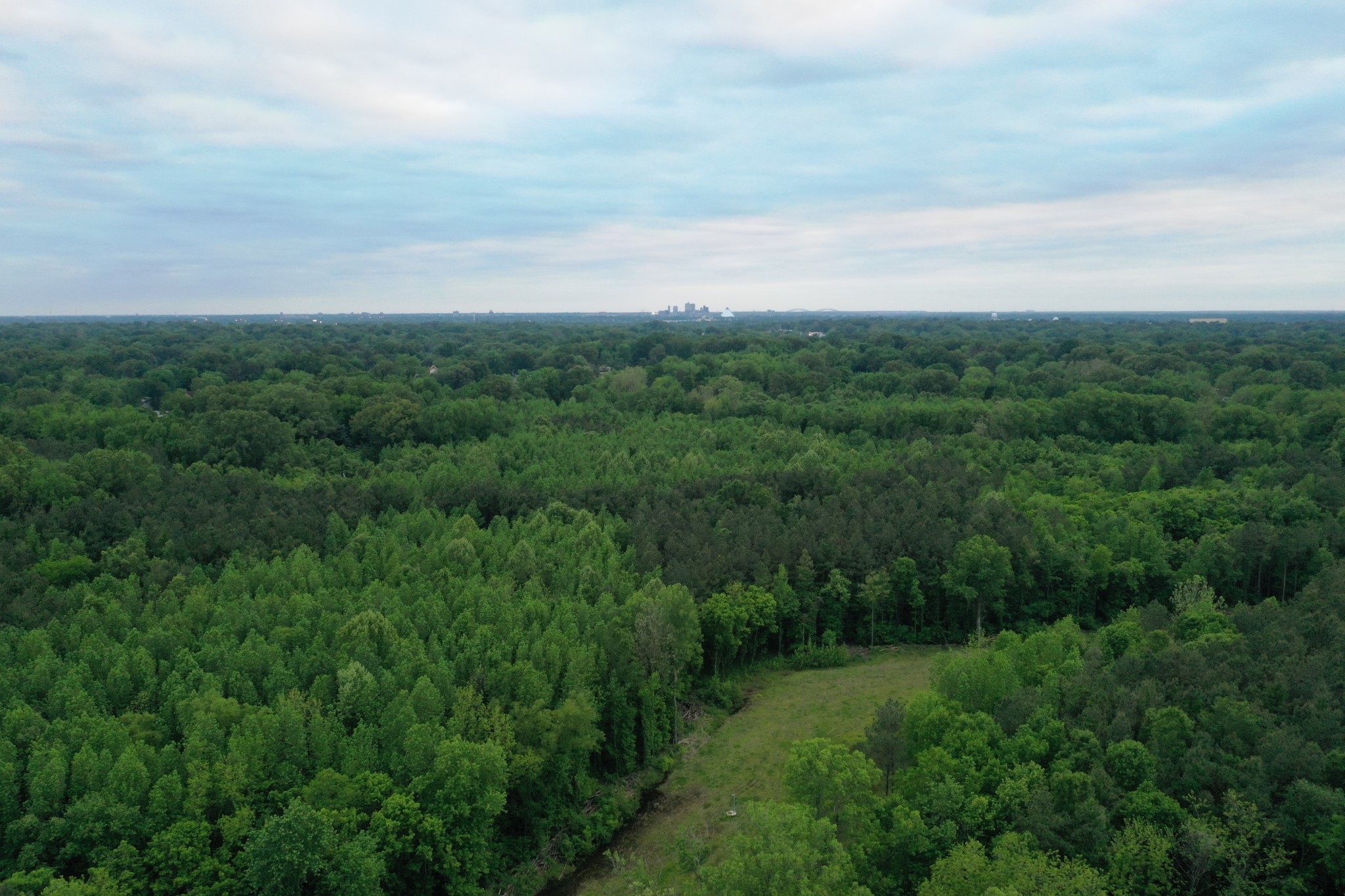 0 Millington Road Memphis, TN 38127 - Photo 15 of 31 Gallery Image 15