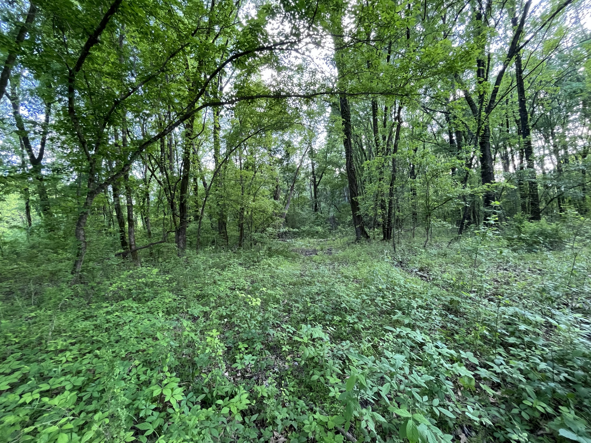 0 Millington Road Memphis, TN 38127 - Photo 23 of 31 Gallery Image 23