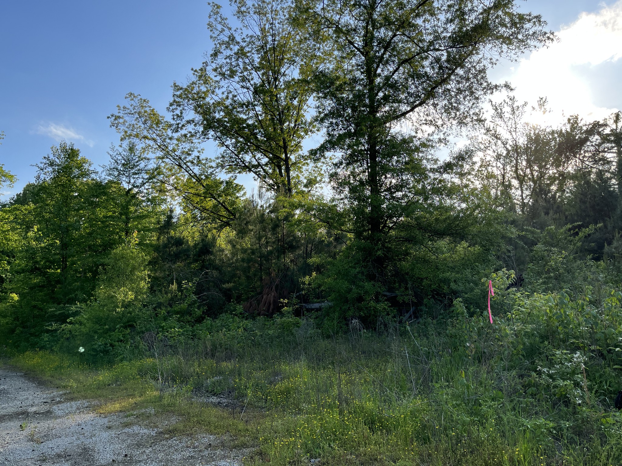 0 Millington Road Memphis, TN 38127 - Photo 24 of 31 Gallery Image 24