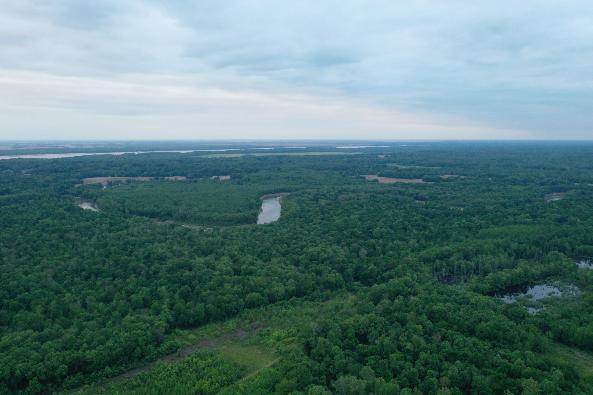 0 Millington Road Memphis, TN 38127 - Photo 9 of 31 Gallery Image 9