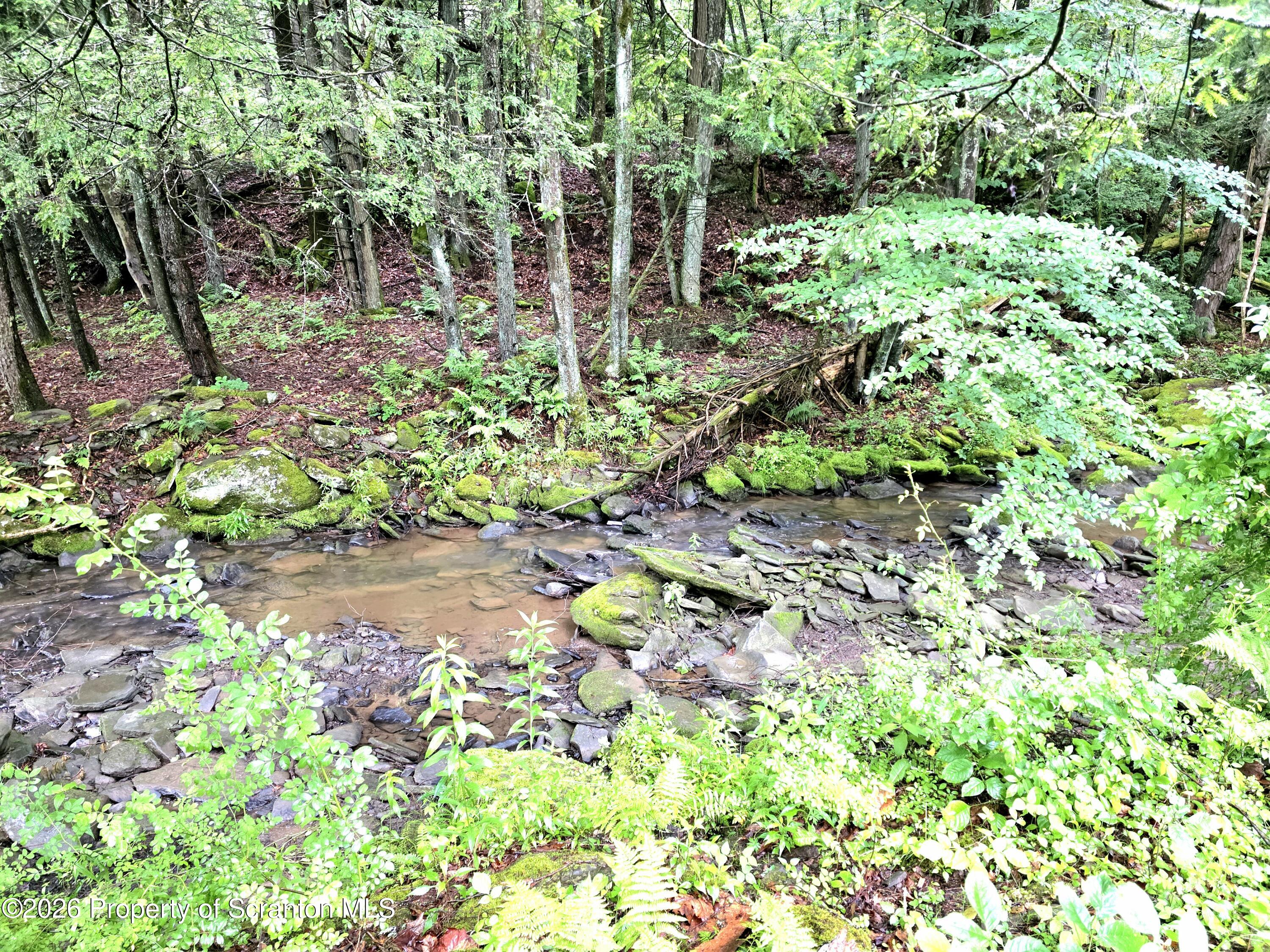 Pratt Hollow Road Nicholson, PA 18446 - Photo 7 of 18 Willow Brook