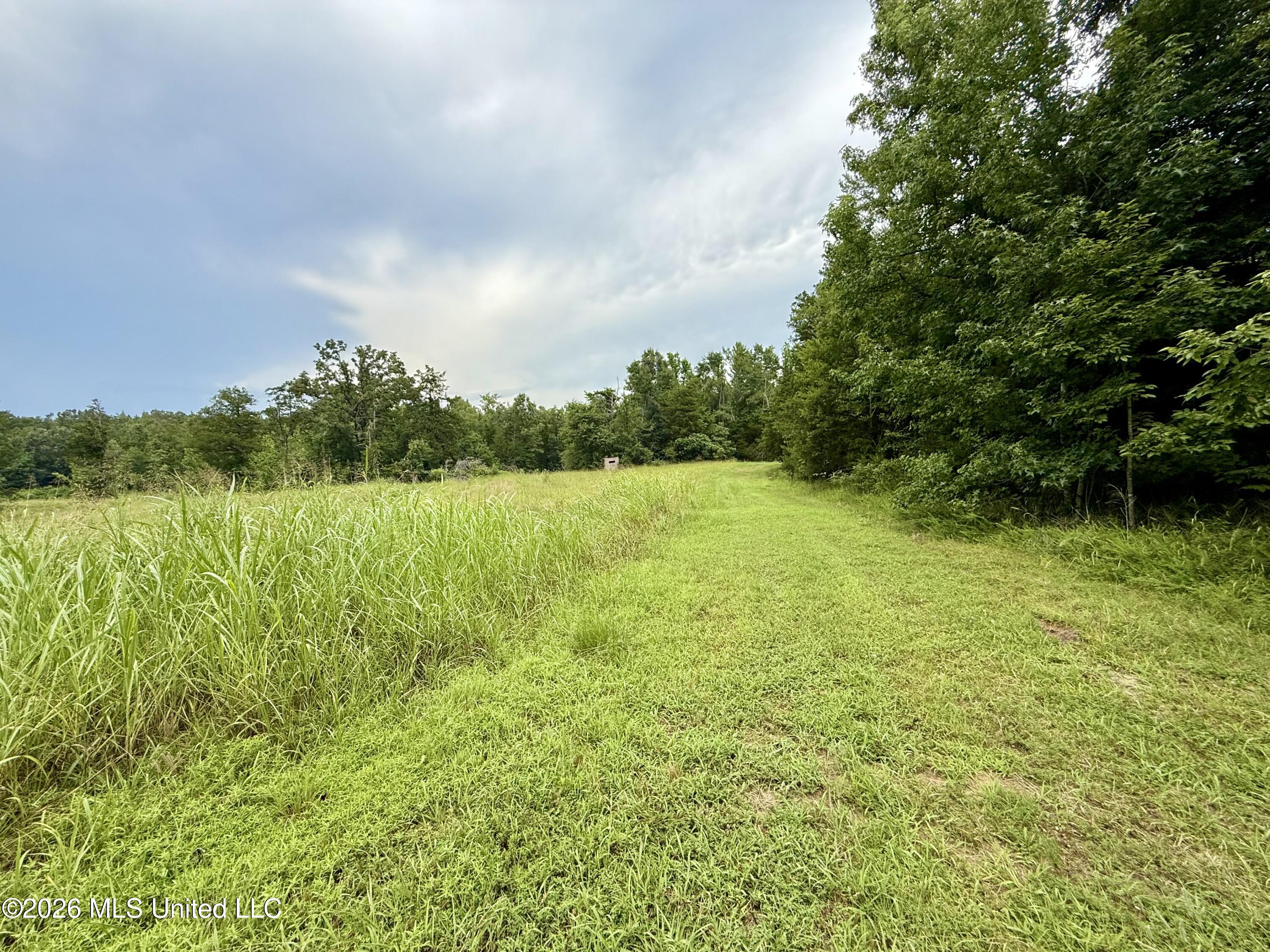 568 Smith-Bailey Road Durant, MS 39063 - Photo 43 of 81 Photo Jul 02 2026, 2 17 12 PM