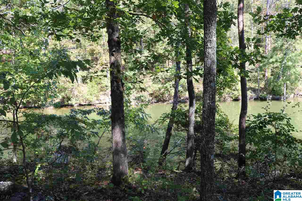 40 Fishers Way, Unit 40 Vincent, AL 35178 - Photo 3 of 4