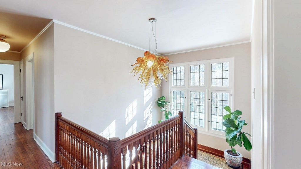 2593 Coventry Road Cleveland, OH 44120 - Photo 23 of 50 Gallery Image 23