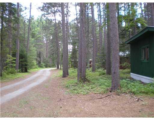 81 Pine Street Stratton, ME 04982 - Photo 10 of 15 Land. Road in to camp and the land...