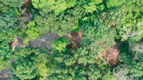 a wooden bench with view of trees