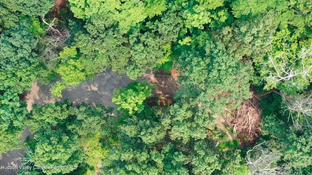 a wooden bench with view of trees