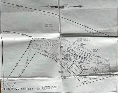 a view of a pathway of a forest