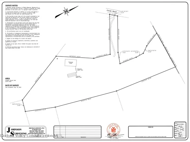 a view of a lush green forest with trees in the background