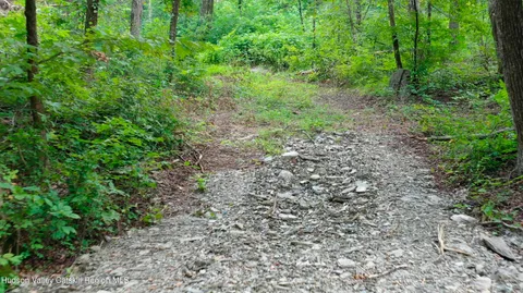 a view of a large yard with lots of green space
