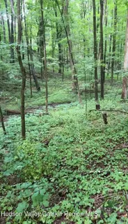 a view of a green field