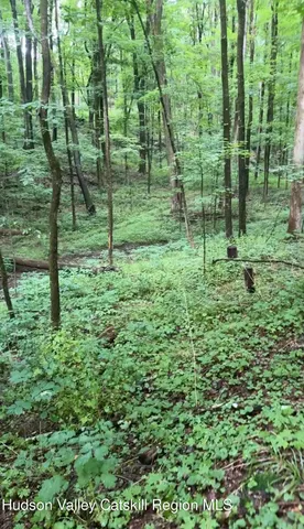 a view of a green field