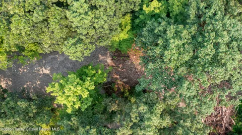 a backyard of a house with lots of plants