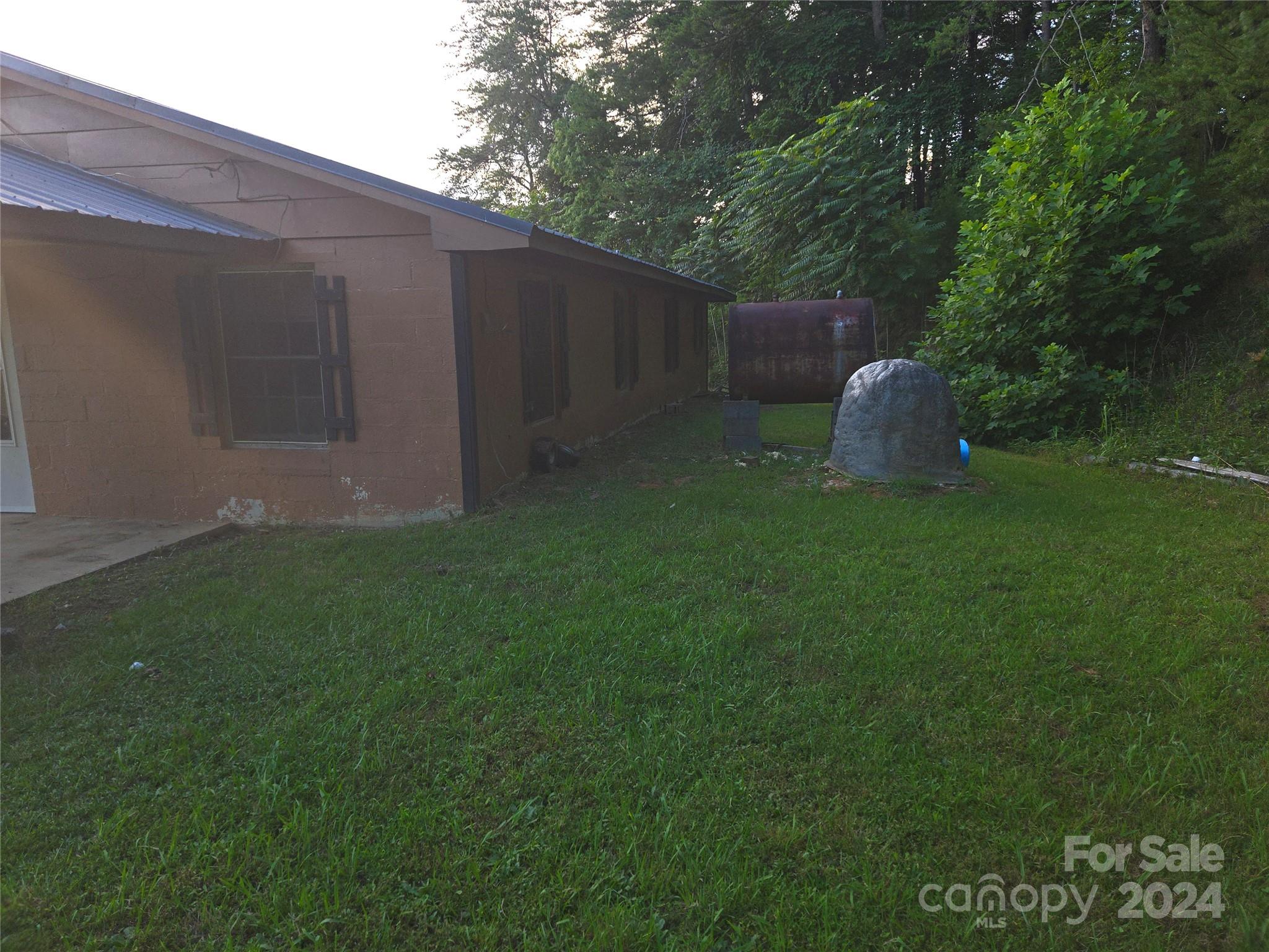 127 Lake Adger Road Mill Spring, NC 28756 - Photo 4 of 20 a backyard of a house with lots of green space and plants
