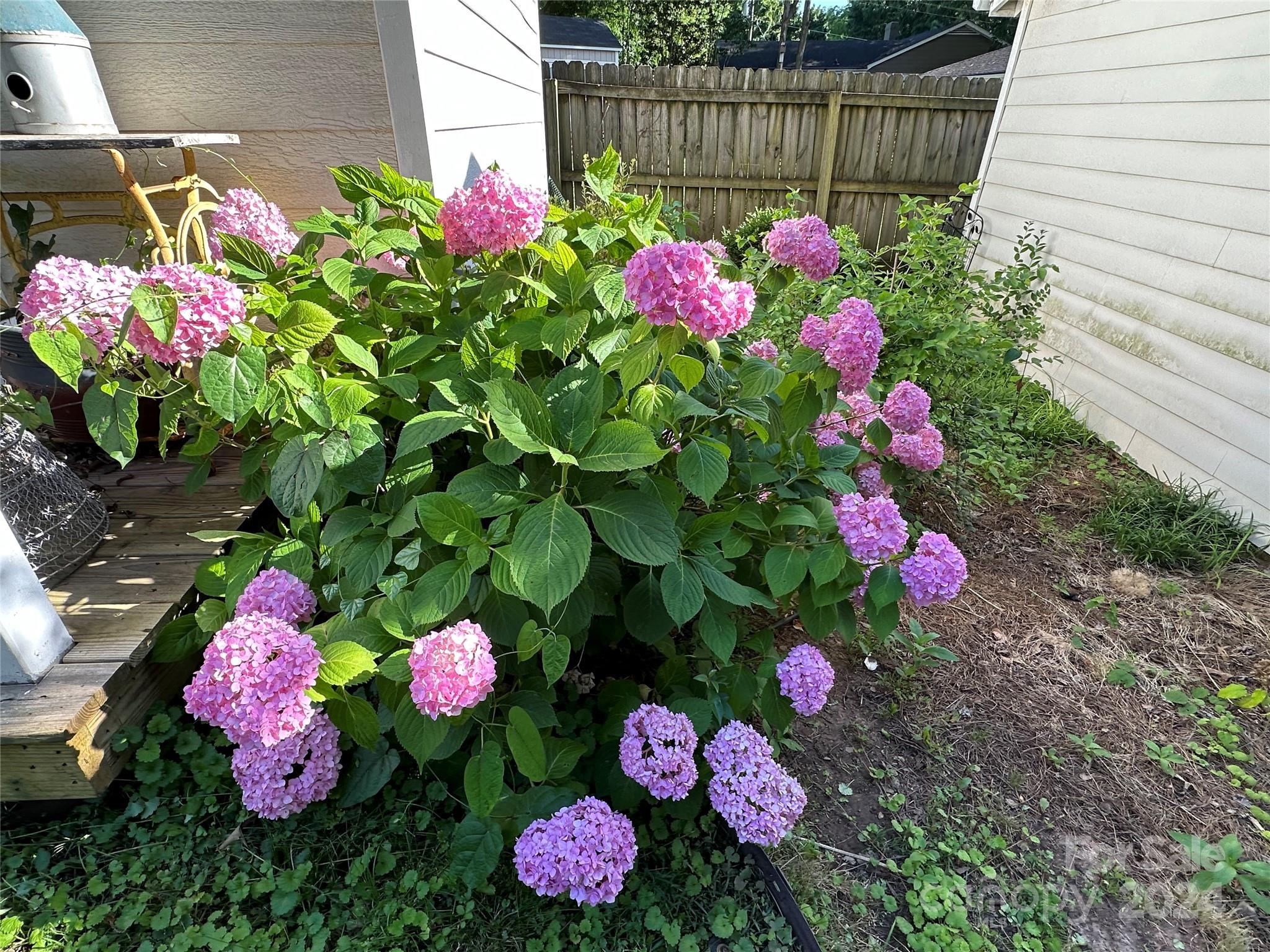 3233 Pinehurst Place Charlotte, NC 28209 - Photo 38 of 39