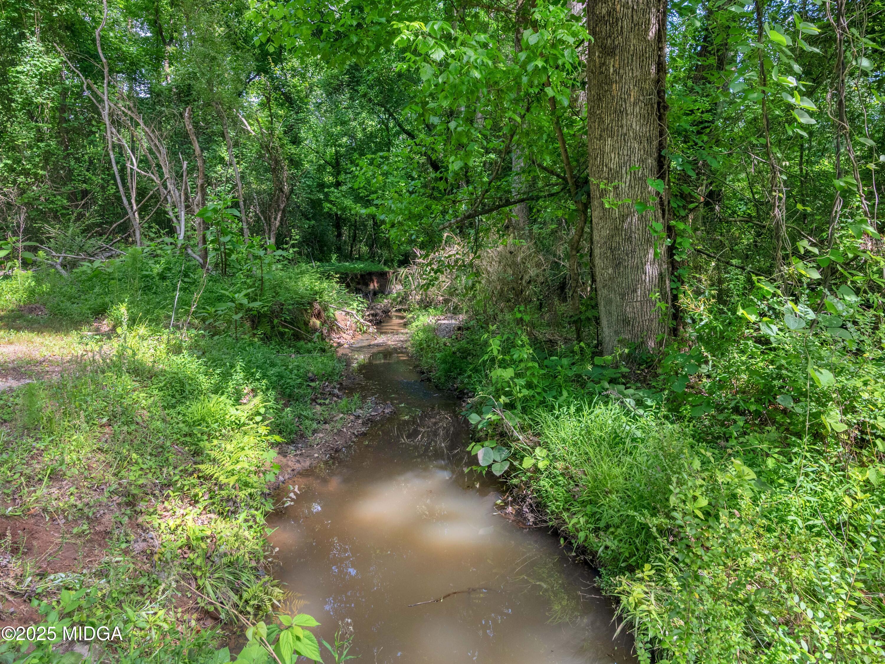500 Moon Road Griffin, GA 30223 - Photo 39 of 47 Creek