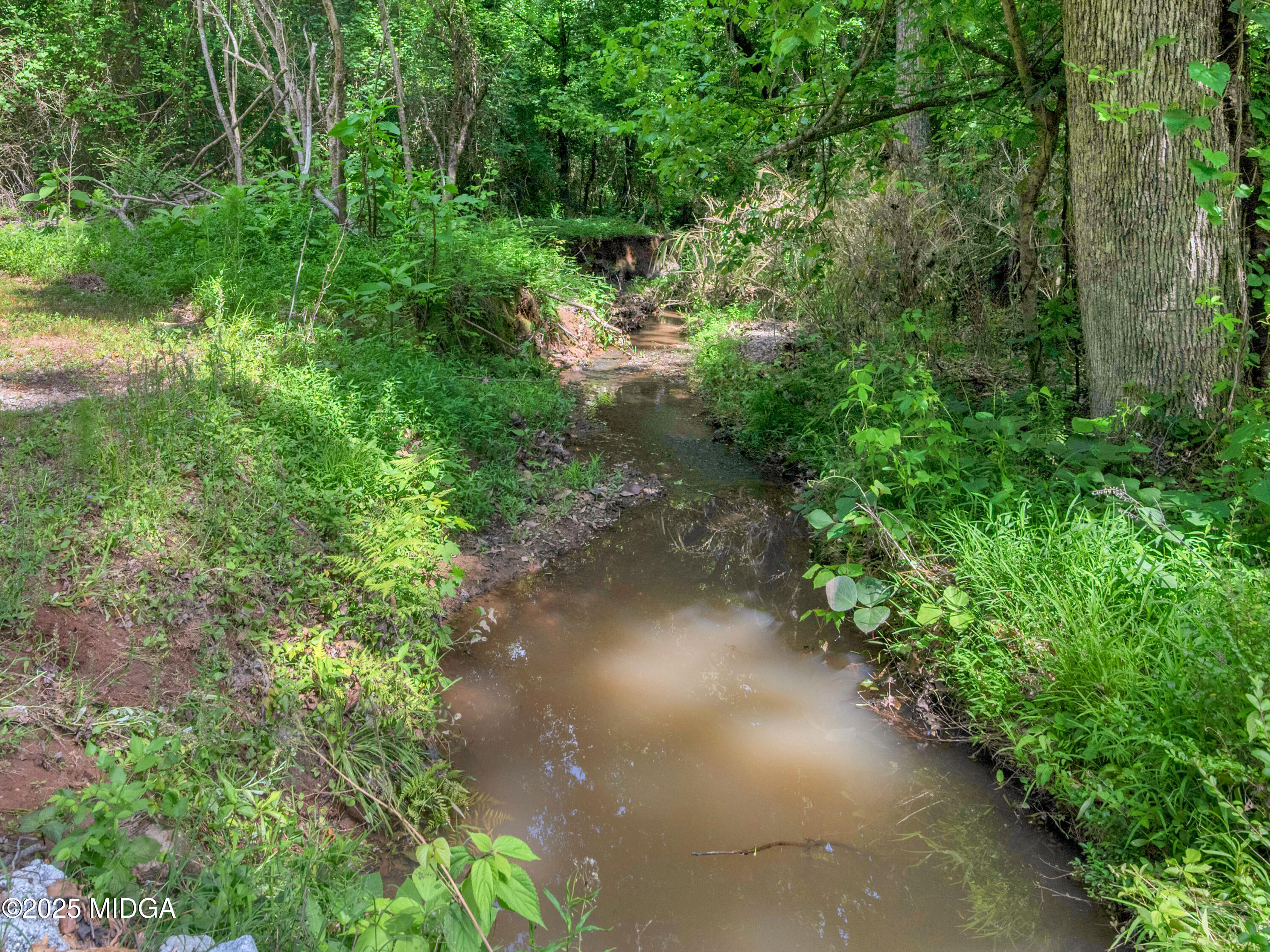 500 Moon Road Griffin, GA 30223 - Photo 40 of 47 Creek