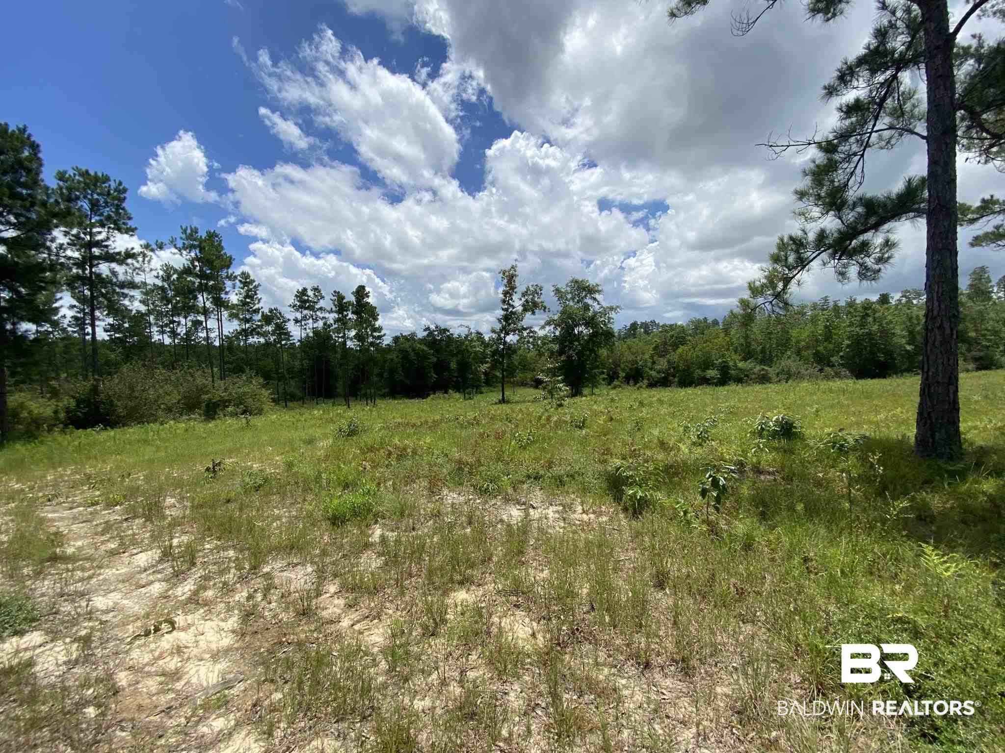 2534 Lewis Road Milton, FL 32570 - Photo 13 of 14 Gallery Image 13